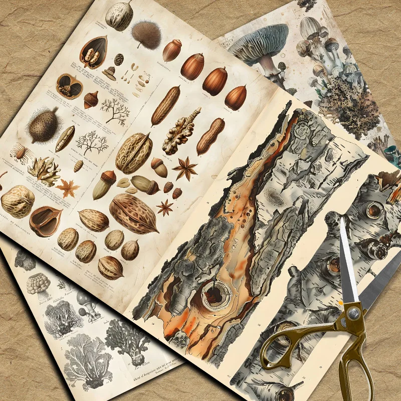 New Vintage Material Papers DI - Vintage Things Collection avis et prix